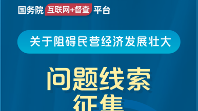 日本女人BB有没有毛国务院“互联网+督查”平台公开征集阻碍民营经济发展壮大问题线索